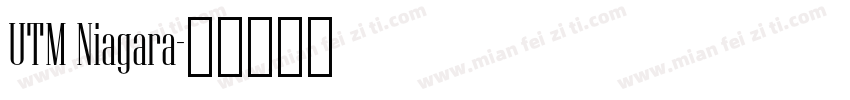 UTM Niagara字体转换